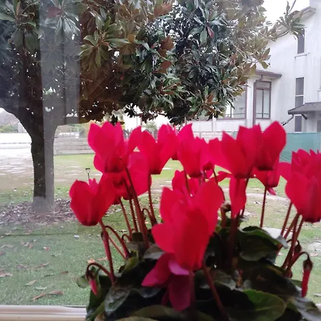Bed Garden Bed & Breakfast Berra